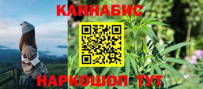 индика Балахна