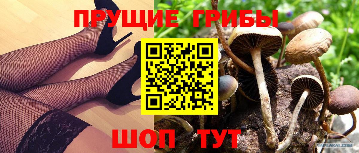Галлюциногенные грибы Cubensis Ейск