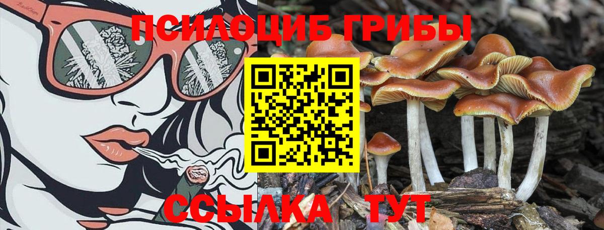 Ейск  Псилоцибиновые грибы MAGIC MUSHROOMS  Вход с VPN  Галлюциногенные грибы ЛСД 